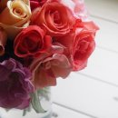 안경OK콘택트안경원 이미지