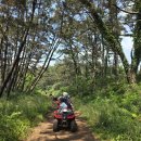 태안고등학교 | 안면도atv 태안atv 제대로 즐기기 와이키키레포츠 방문 후기