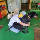 짱오농장 | 복순이네 2