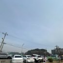 궁평항로 | 화성 궁평항 칼국수 해물파전 맛집 '궁평의 하루' 내돈내산 후기