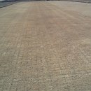 잔디 농장 이미지