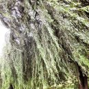 둥지여인숙 이미지