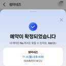 썸머네즈(Summer nezu)
