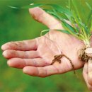 내포비료 이미지