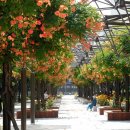 부천-중앙-부천-02 이미지