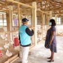 경지 태양광발전소 이미지