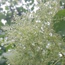 우산공원길 이미지