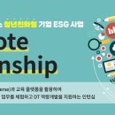 청년 네트웍스