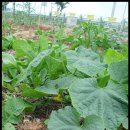 해바라기 어린이집 이미지