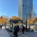 콜라피시방(인-326호) | [여의도/르뵈프] 요즘 뜨는 여의도 가성비 양식 코스 레스토랑