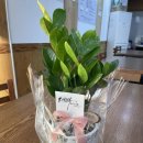 양산중부동우체국 이미지