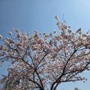 감골공원길 이미지