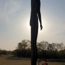 개나리길 이미지