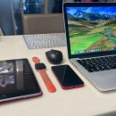 보배농장 이미지