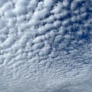 골프존 에코 GDR 아카데미 이미지