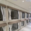 강남애견 이미지