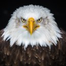 영등포 행정사사무소 이미지