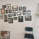 펄레스토랑 이미지