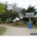 남성현초등학교 Daum카페
