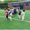 행복한태권도장 이미지