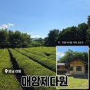 경남 하동 녹차밭 카페 <매암제다원> 후기 (내돈내산)