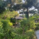 울산보리밥 이미지