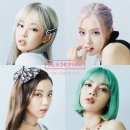 와이지 YG몰 서울경제
