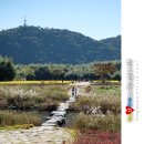 태화강대공원 대여소 이미지