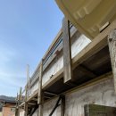 소동느티나무 이미지