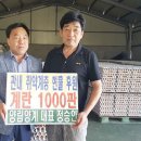 양림양계 이미지