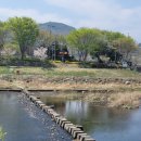 상사면사무소 이미지