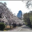 만석공원 이미지