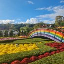 쌀밭나드리 | 임실치즈축제 방문후기, 임실테마파크에 국화향이 가득