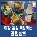 [양평군/양평읍]술땡기는 날 야장과 실내포차가 있는 양평상회
