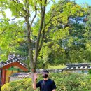 청풍목장 이미지