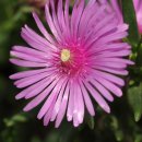 갈전농장 이미지