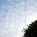 전남회타운 이미지