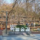 하늘숲 - 가평군 멱골로 121 | 하늘숲