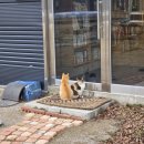 용연2통 네이버블로그