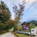 자연속풍경 용항민박 | 남원 지리산 물길따라 펜션, 자연 속 힐링 숙소 후기