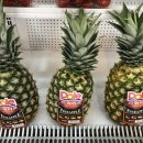 인애청과 이미지