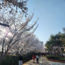 우리나현유치원 이미지