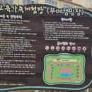 부여교육가족체험장 이미지