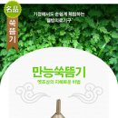 오행쑥뜸기 이미지