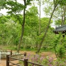 경주조선온천호텔 이미지