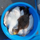 즐거운낚시 이미지