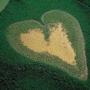 네오웰빙 이미지