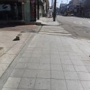 태백칼국수 이미지