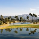 BA비스타CC 이미지