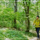 연세나루정신건강의학과의원 이미지